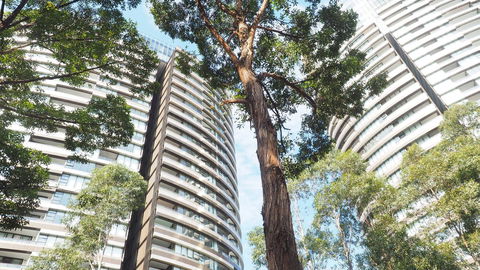 SkyGarden Sydney Olympic Park 3 & 4 Bedroom City View - Accommodation Search 33