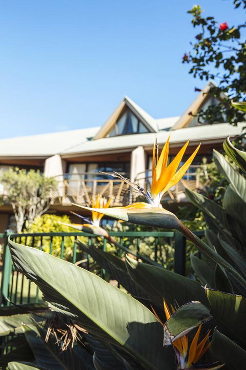 Beach Hotel Resort - Accommodation Search 36