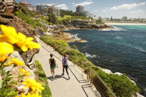 BONDI BEACH PRIME 1 Bedroom + Sunroom - Accommodation Search 16