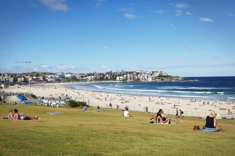 BONDI BEACH PRIME 1 Bedroom + Sunroom - Accommodation Search 11