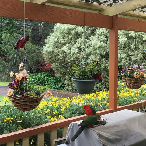 The Best Exotic Magnolia Cottage - Accommodation Search 33