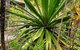 Ballina Beach Resort - thumb 35