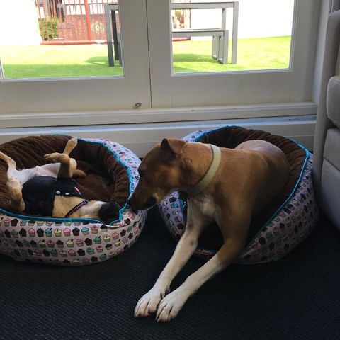 The Ultimo - Accommodation Search 5