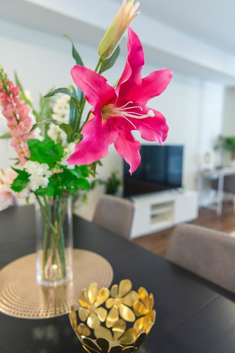 Sydney CBD Brand New Apartments With Hyde Park View - Accommodation Search 6