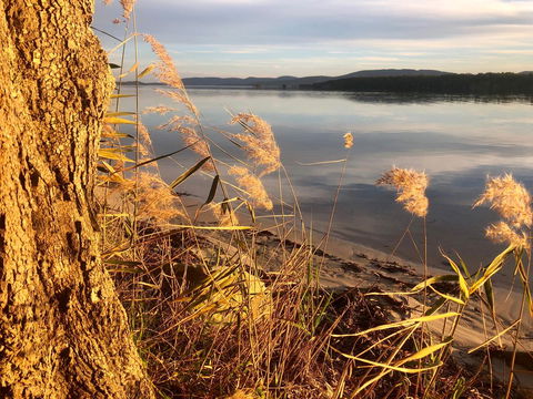 Lakeview Cottage - Accommodation Search 14