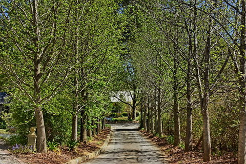 Bundanoon Lodge - Accommodation Search 12
