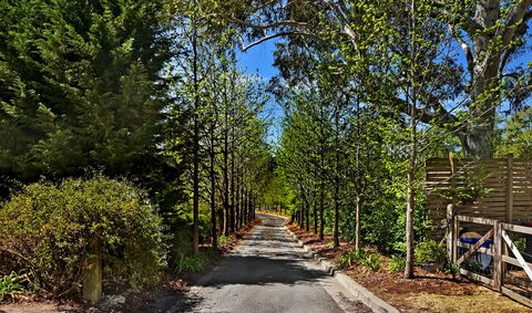 Bundanoon Lodge - Accommodation Search 21
