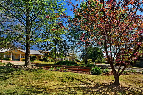 Bundanoon Lodge - Accommodation Search 16