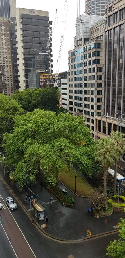 Madison Carrington Apartments - Accommodation Search 1