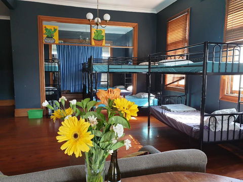 Clover Backpackers - Accommodation Search 8