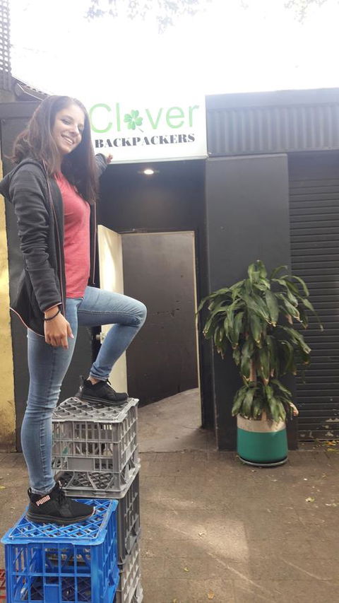 Clover Backpackers - Accommodation Search 1