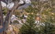 Pure Chalet Thredbo - thumb 36