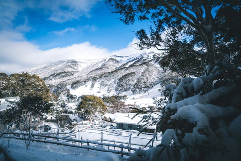 Pure Chalet Thredbo - Accommodation Search 31