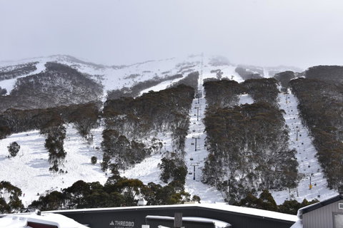 Pure Chalet Thredbo - Accommodation Search 6