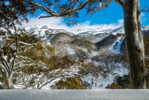 Pure Chalet Thredbo - Accommodation Search 17