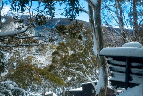 Pure Chalet Thredbo - Accommodation Search 30