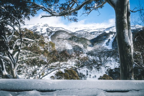 Pure Chalet Thredbo - Accommodation Search 2