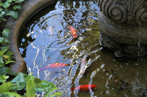 Manor Boutique Hotel Sydney - Accommodation Search 25