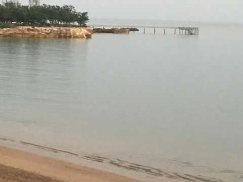 Nightcliff Foreshore Getaway - McKay Gardens - Accommodation Search 27