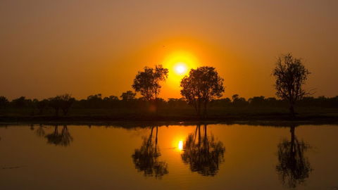 Mercure Kakadu Crocodile - Accommodation Search 26