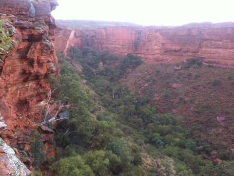 Discovery Resorts - Kings Canyon - Accommodation Search 34