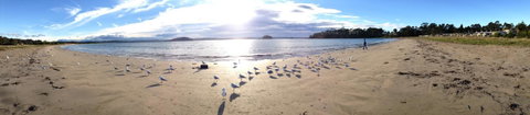 Corrigans Cove - Accommodation Search 2