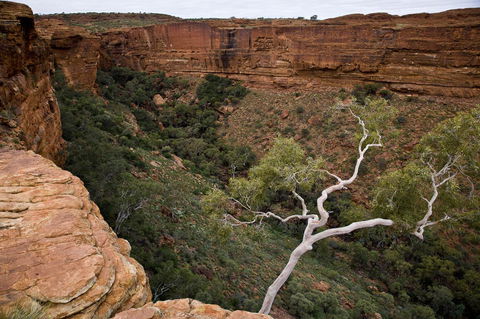 Kings Creek Station - Accommodation Search 15