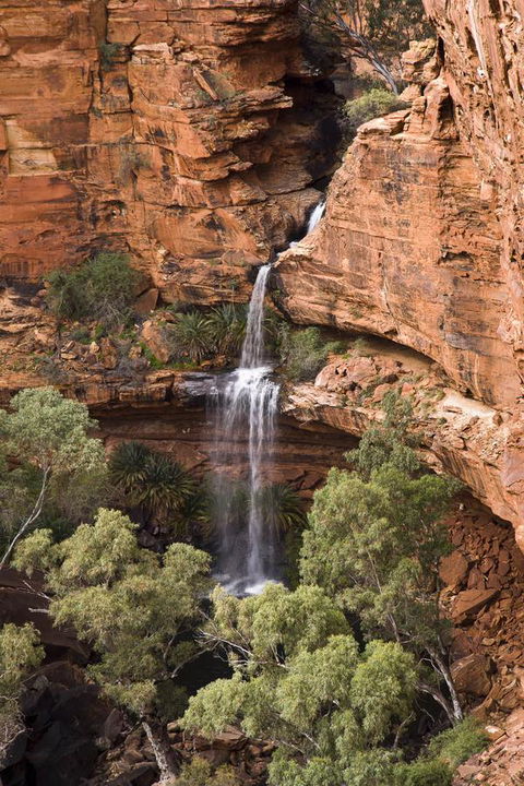Kings Creek Station - Accommodation Search 0