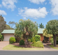 Bottlebrush - Accommodation Search