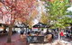 Bowral Boutique Motel - thumb 1