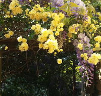 Bowral Road Bed and Breakfast - Accommodation Search