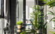 Braddon Penthouse, Top Location, Netflix, WiFi, Views - thumb 1