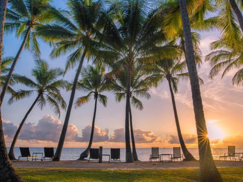 Brindabella - Palm Cove - Accommodation Search 1