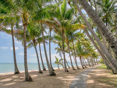 Brindabella - Palm Cove - Accommodation Search 3