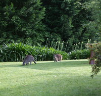 Bundanoon 2578 - Accommodation Search