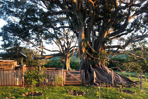 BYRON BAY'S HISTORIC BARNSTAY! - Accommodation Search 2
