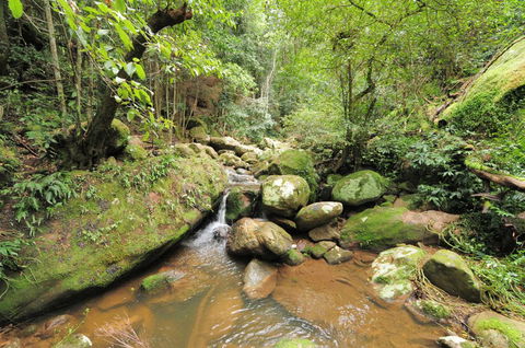 Cabbage Tree Farm - Seclusion And Tranquillity! - Accommodation Search 1