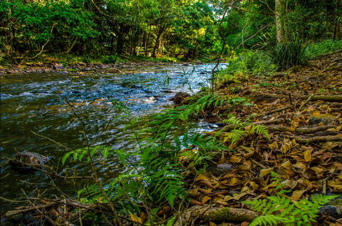 Cairns Homestead: A Peaceful Getaway - Accommodation Search 3