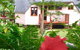 Cape Tribulation Holiday House - thumb 3