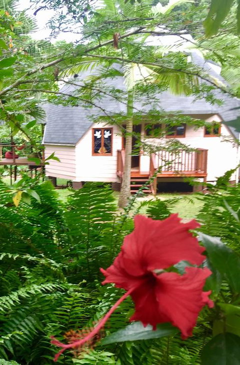 Cape Tribulation Holiday House - Accommodation Search 3