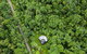 Cape Tribulation Holiday House - thumb 2