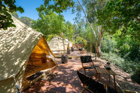 Castlemaine Gardens Luxury Glamping - Accommodation Search 0