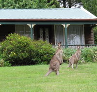 Cedar Lodge Cabins - Accommodation Search