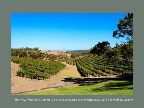 Chapel Hill Winery Guest House - Accommodation Search 1