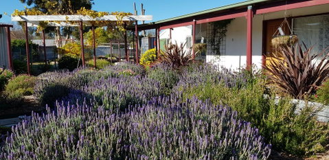 Clunes Motel - Accommodation Search 1