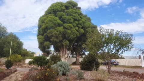 Clunes Motel - Accommodation Search 2