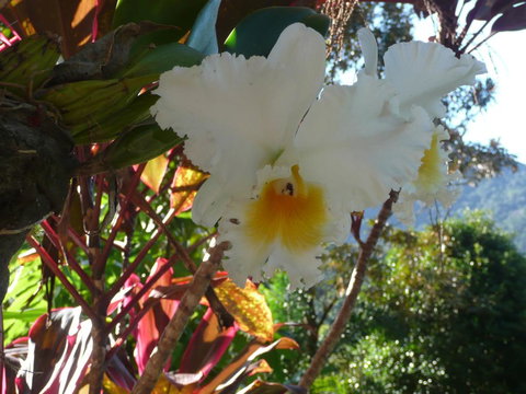 Coral Sea Views - Accommodation Search 2