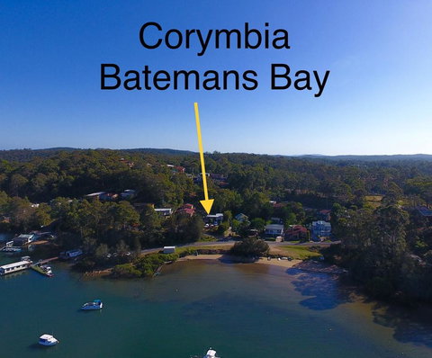 Corymbia Batemans Bay - Accommodation Search 1