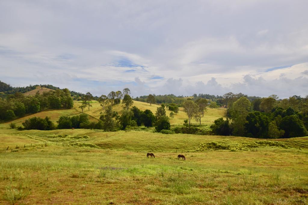 Kandanga QLD Accommodation Search