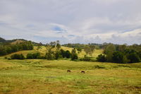 Book Kandanga Accommodation Vacations Accommodation Search Accommodation Search